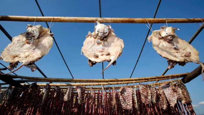 China serves dog meat to astronauts, criticised