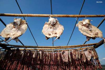 China serves dog meat to astronauts, criticised