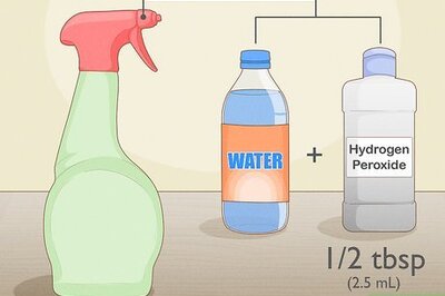 How to Grow Rainbow Eucalyptus