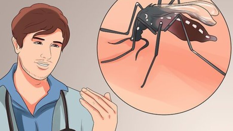 How to Prevent Chikungunya Fever