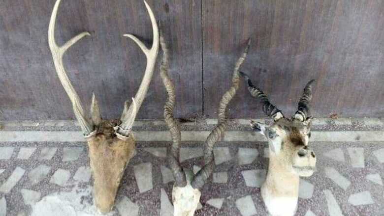 117 kg Nilgai Meat, Rs 1 Crore Cash Seized from Retired Armyman's House