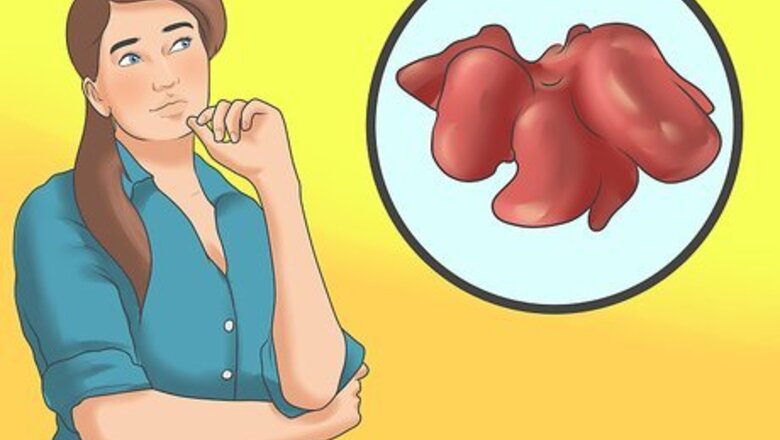 How to Treat Liver Failure in Dogs