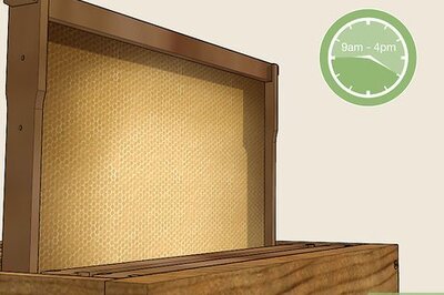 How to Harvest Beeswax