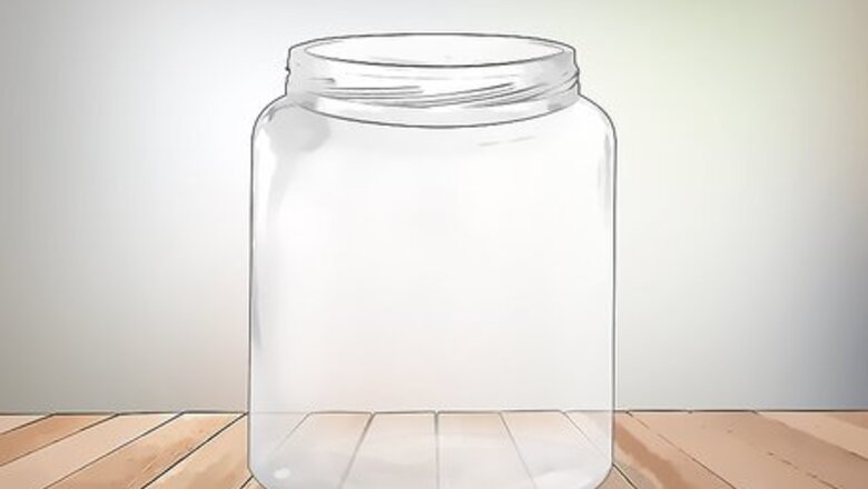 How to Keep a Pet Fly