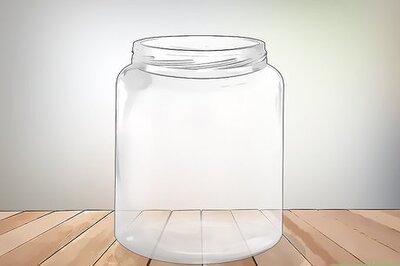 How to Keep a Pet Fly