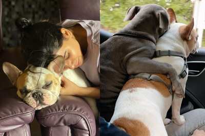 Birthday Girl Samantha Ruth’s Lovely Moments With Her Pet Dogs Are Sure To Keep Your Mid Week Blues at Bay