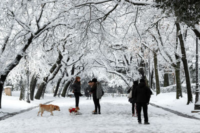 'Wacky' Weather Makes Arctic Warmer Than Parts of Europe