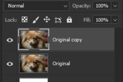 How to Clone Paint in Photoshop CC