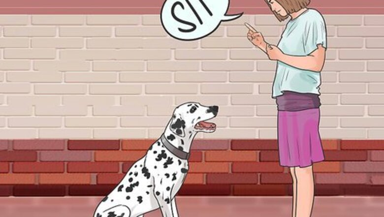 How to Get Your Dog to Welcome Your Baby