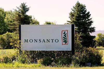 Monsanto Owners Call Weed Killer 'Safe' After Jury Orders Big Payout
