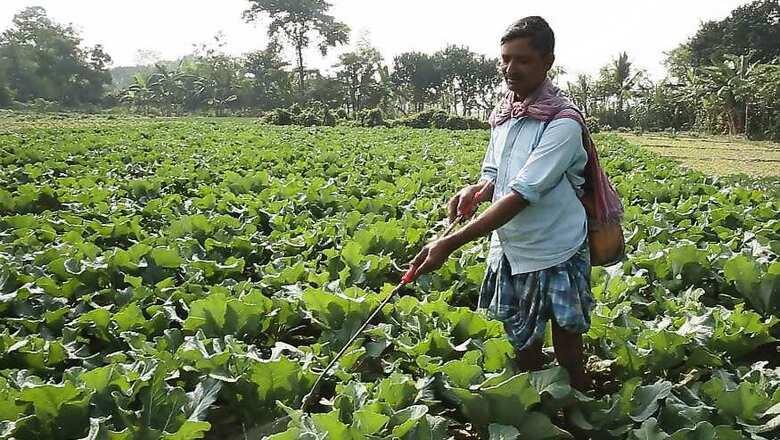 Maharashtra Farmers who Regularly Repay Loans Want More Benefits